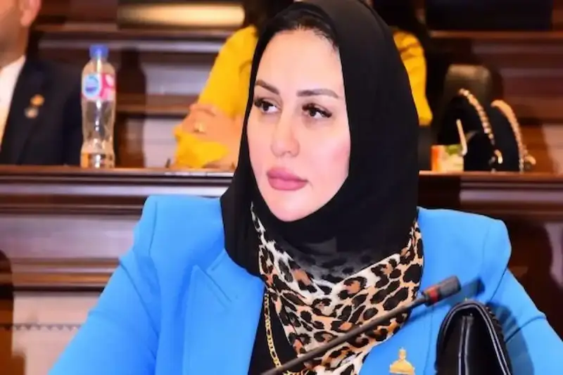 تفاصيل المقترح البرلماني لتغيير مسمى ربة منزل في بطاقات الرقم القومي