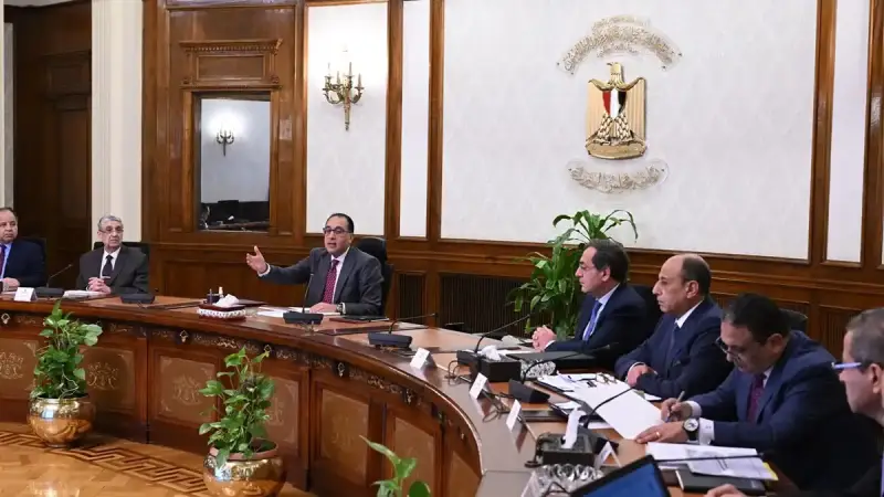 مصر تمدد العمل عن بُعد يوم الأحد طوال أغسطس 2026