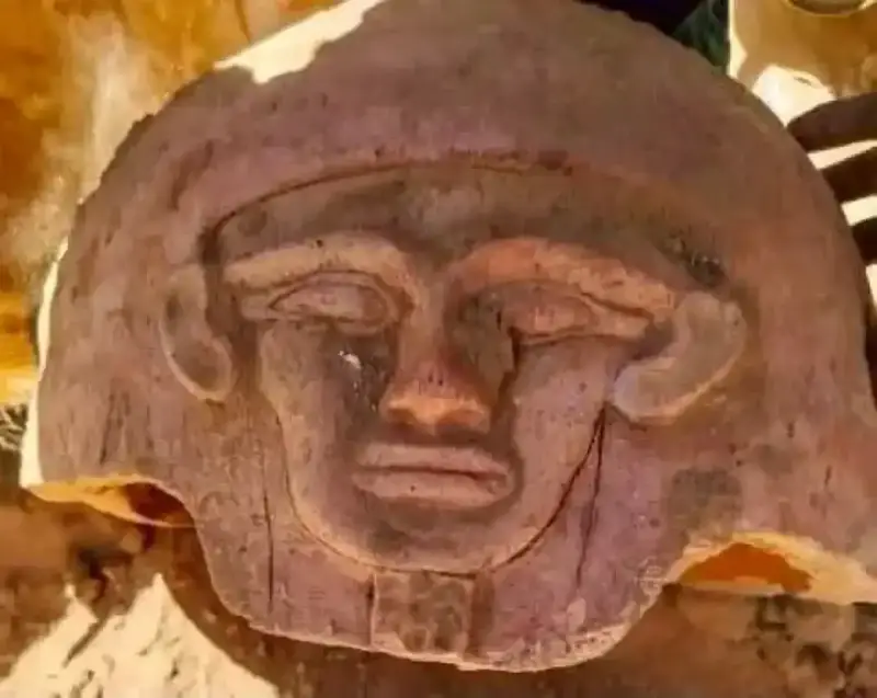 تفاصيل كنز الشيخ سوبي بالواحات والقطع المكتشفة
