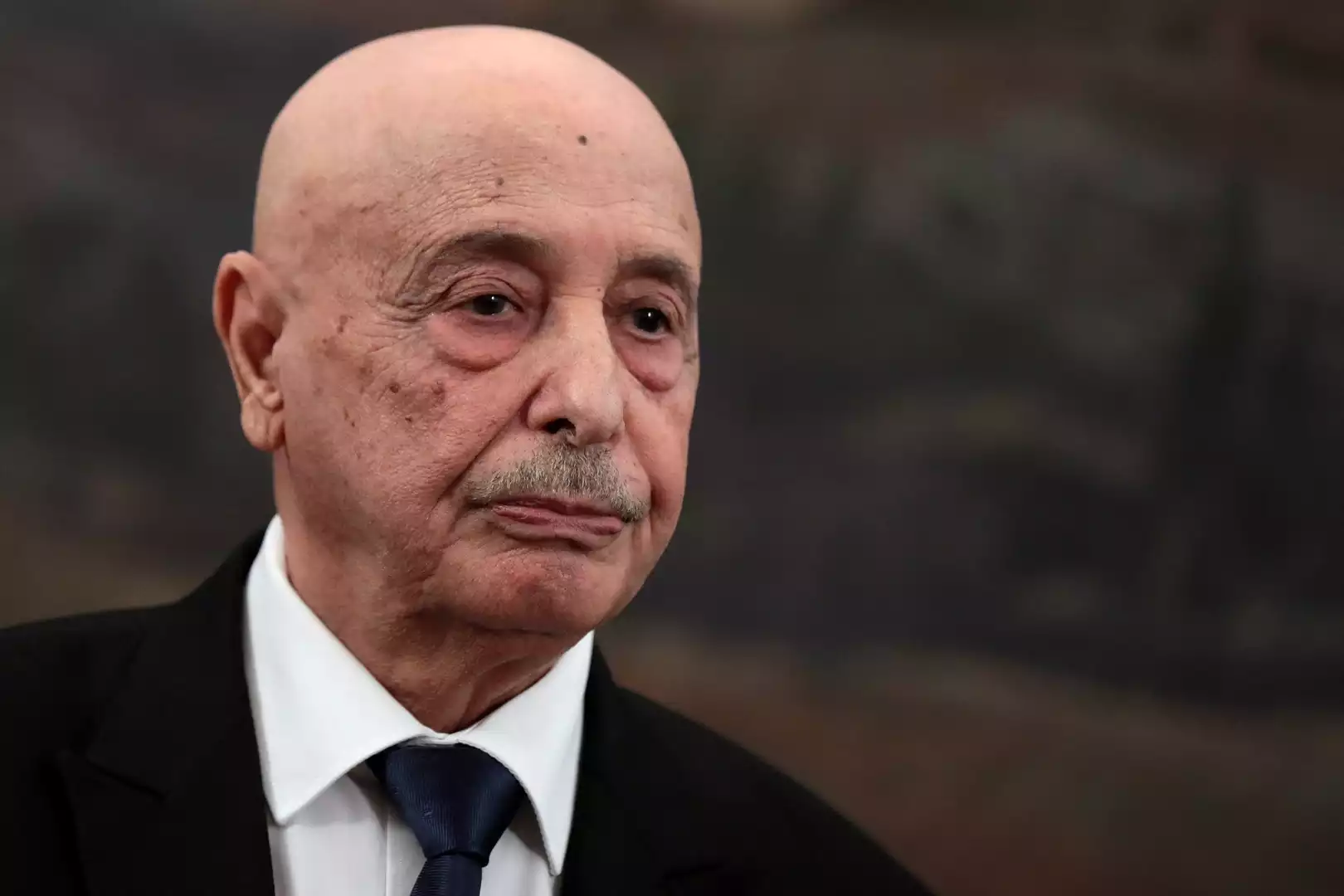 Libya elections