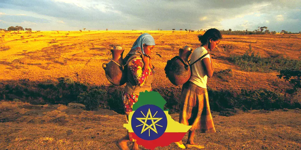 تيغراي