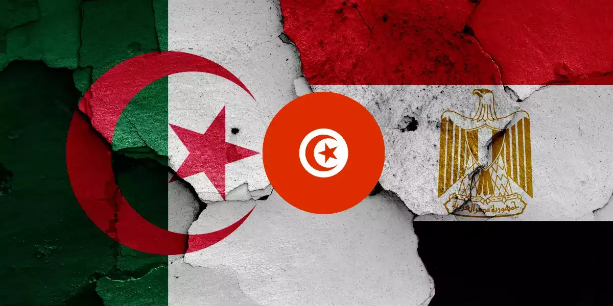 العلاقات المصرية الجزائرية