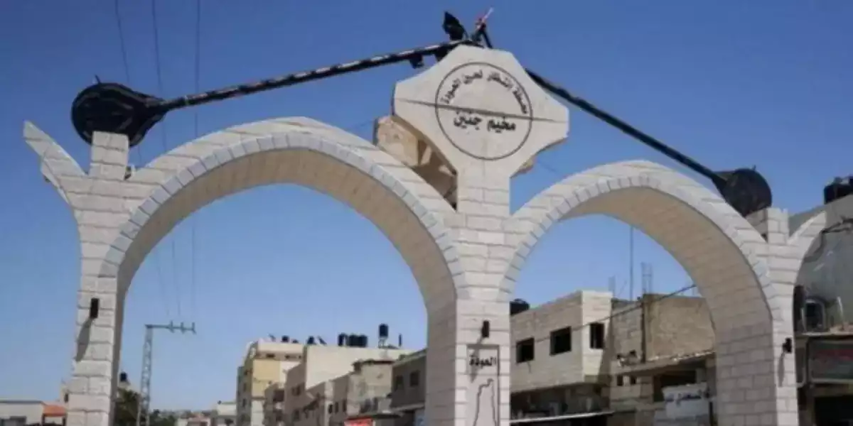 جنين