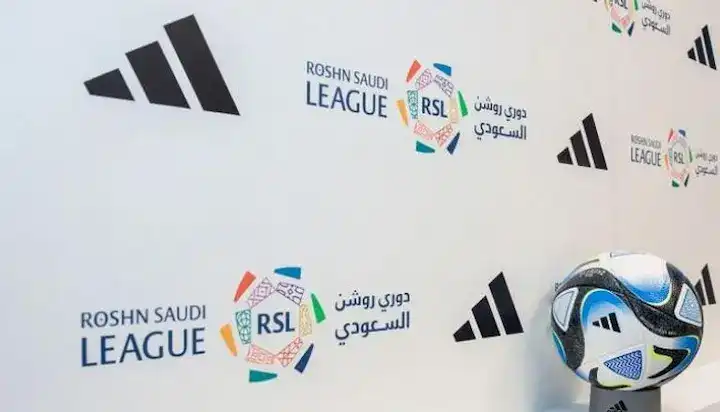 الدوري السعودي للمحترفين