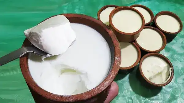 الزبادي