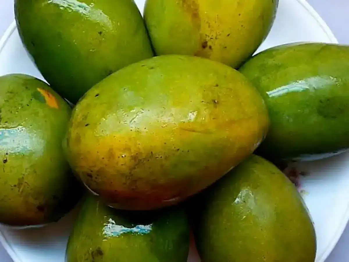 طرق حفظ المانجو