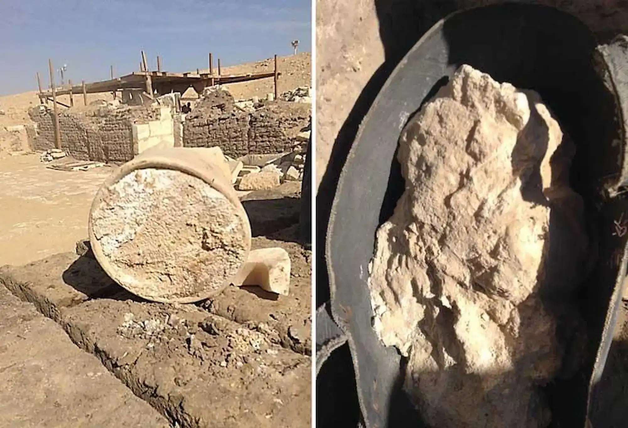 أقدم قطعة جبن في العالم