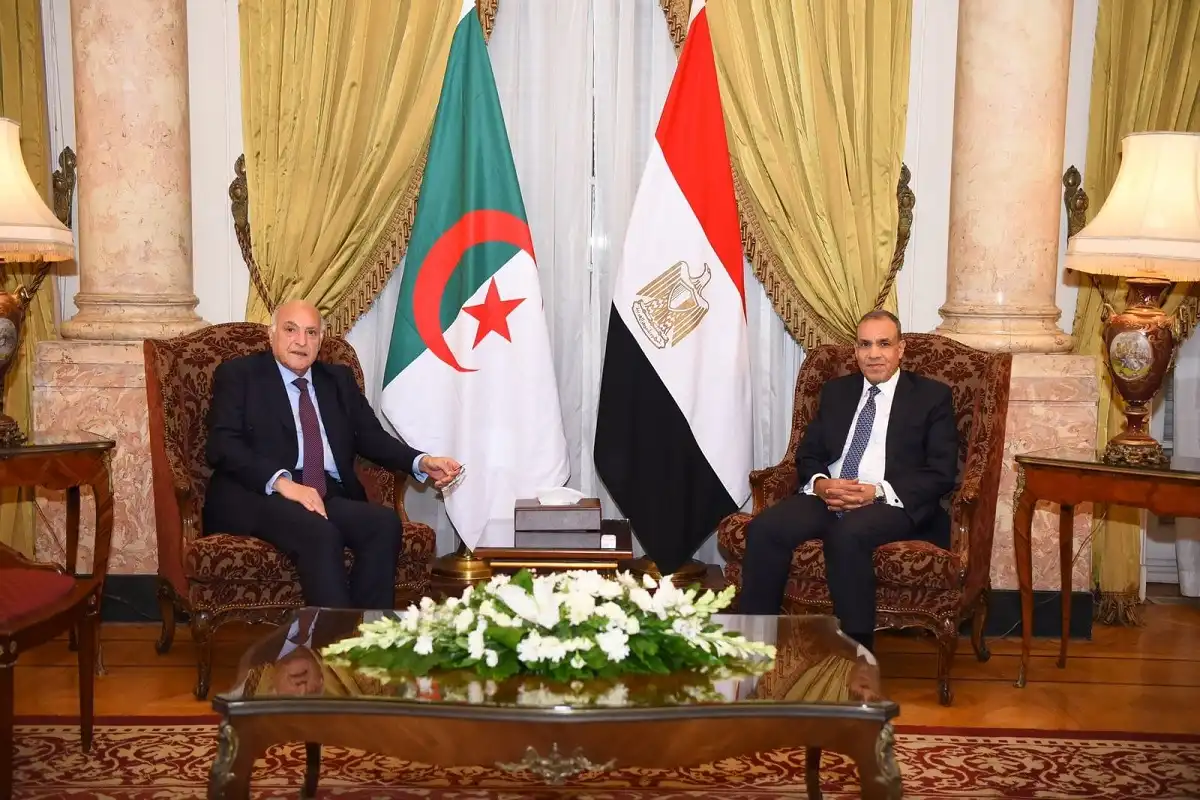 وزير الخارجية والهجرة المصري مع نظيره الجزائري