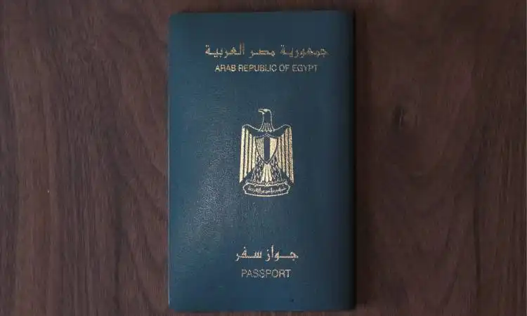 استخراج شهادة تحركات إلكترونيا 2024