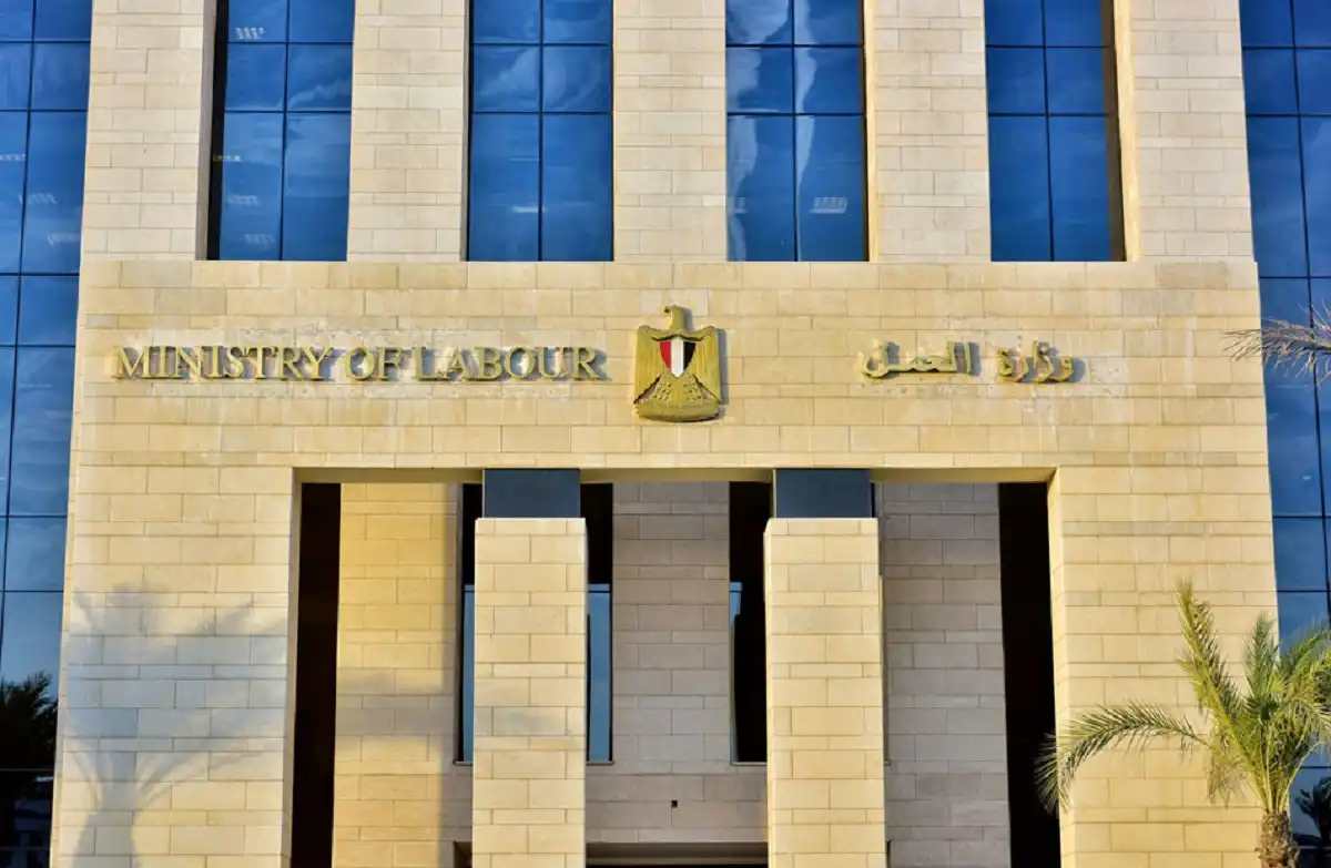 وظائف بشركة W88