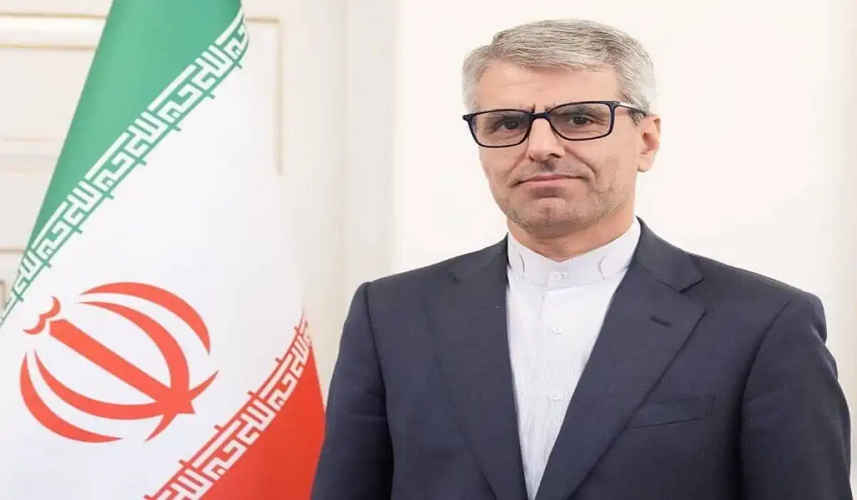 إسماعيل بقائي المتحدث باسم وزارة الخارجية الإيرانية