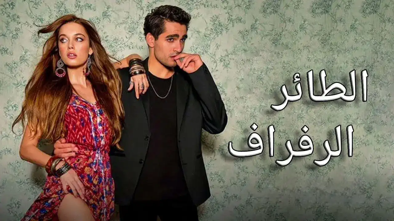 مسلسل الطائر الرفراف