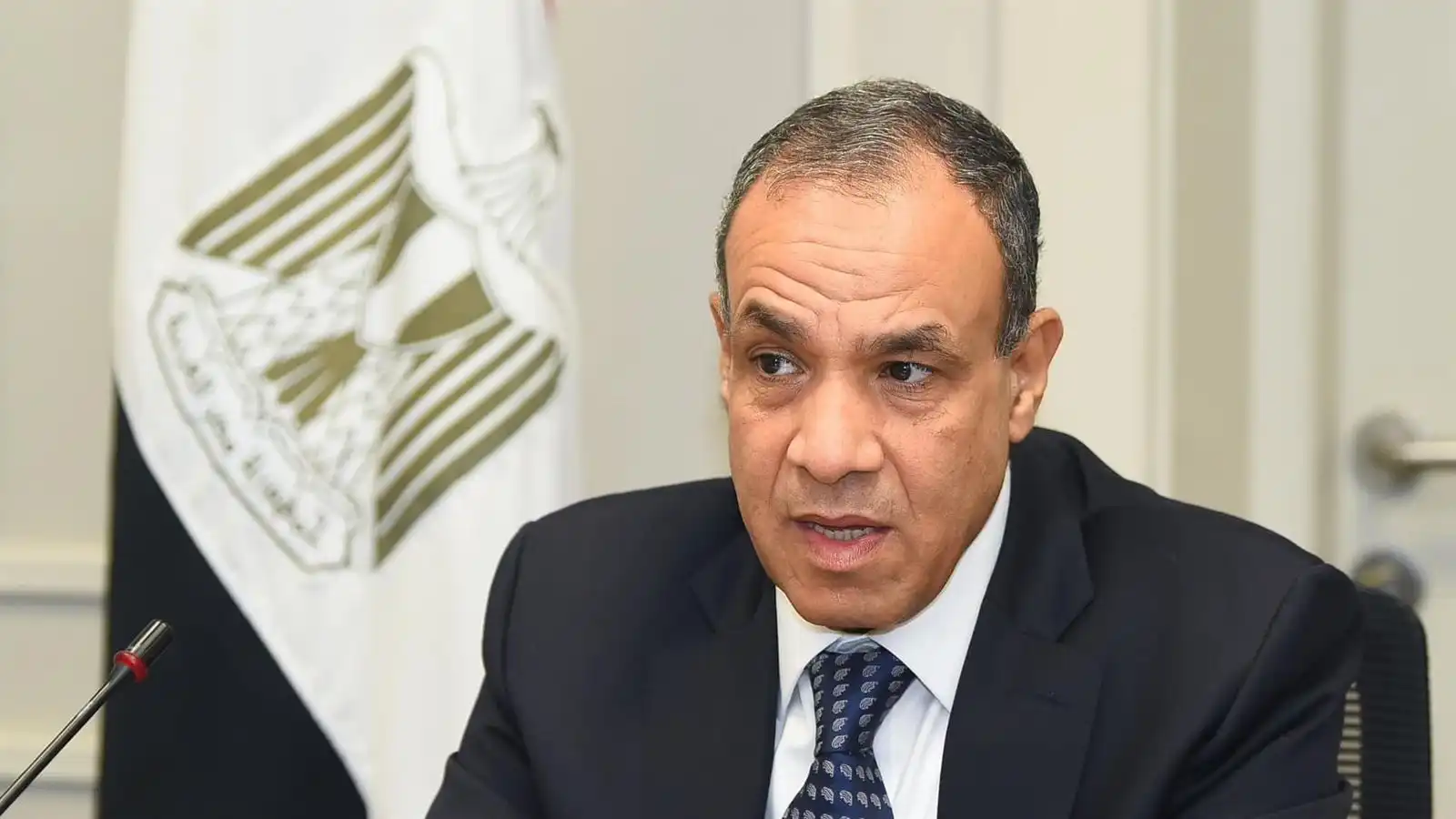 وزير الخارجية المصري