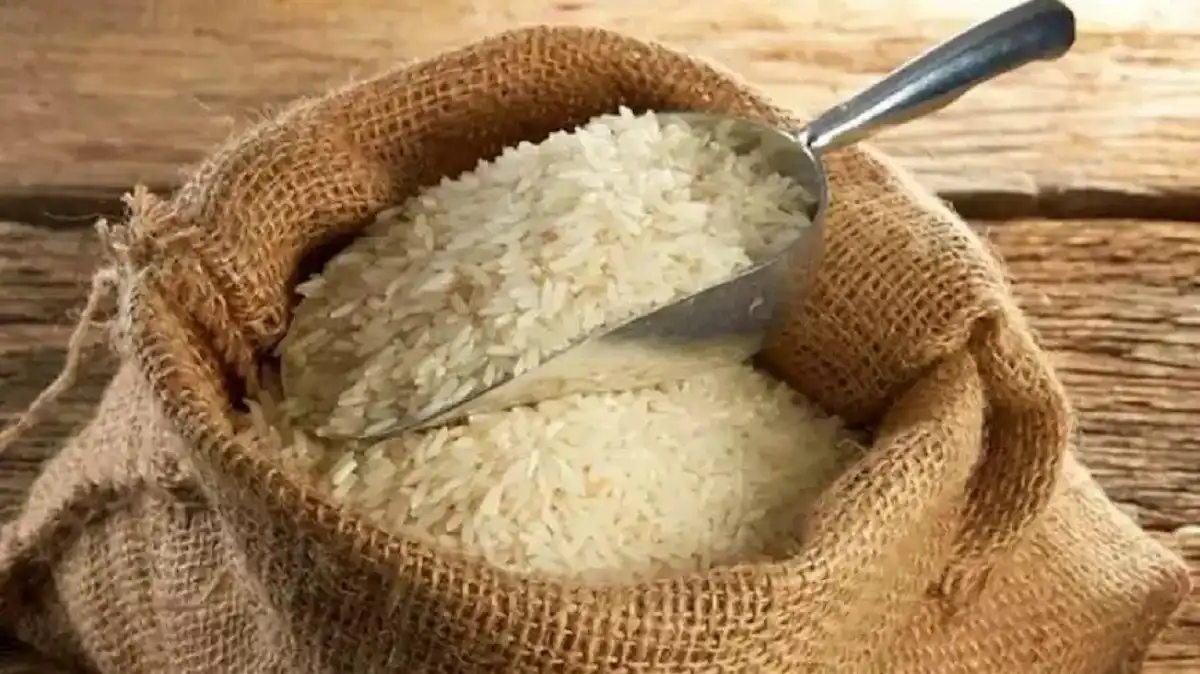 سعر طن الأرز الشعير