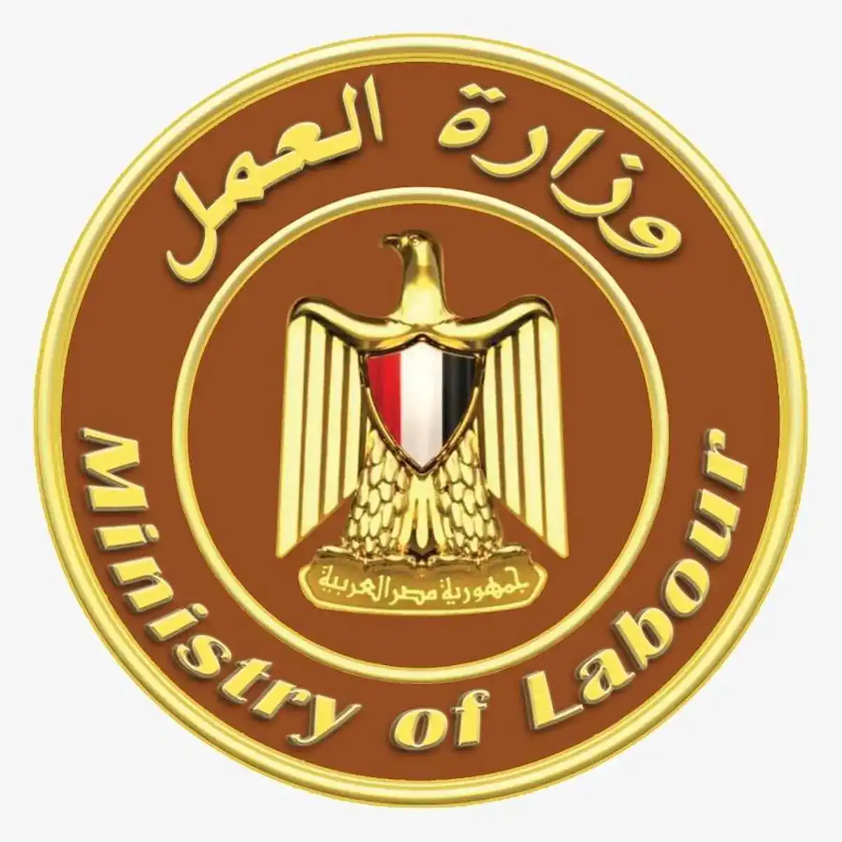 وظائف وزارة العمل 2025