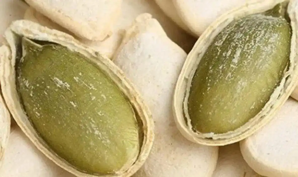 فوائد اللب الأبيض