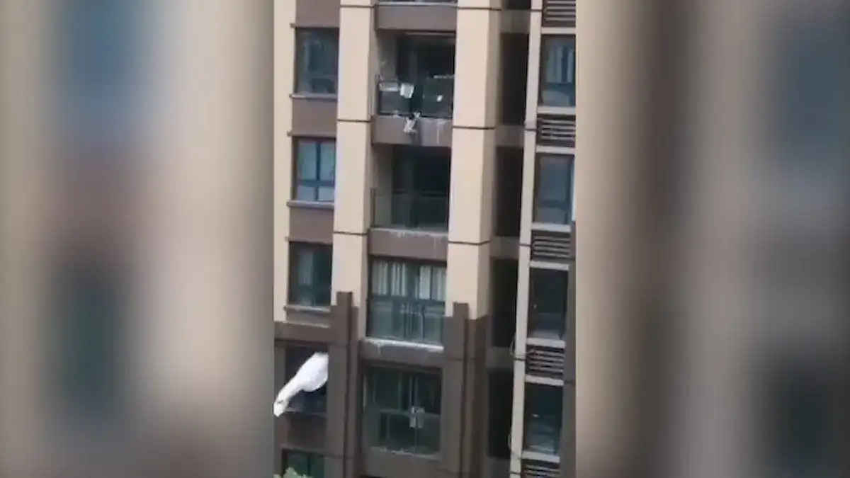 صينية تنجو بعد سقوطها من الطابق الـ25