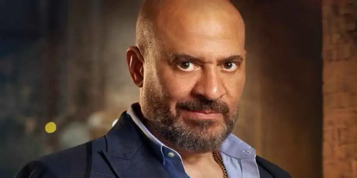 الفنان المصري ماجد المصري