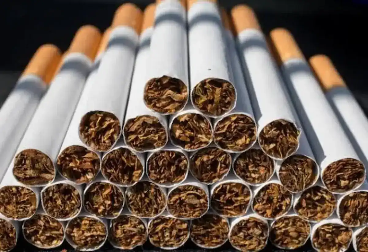 هل ارتفعت أسعار السجائر اليوم السبت 24 مايو 2025؟
