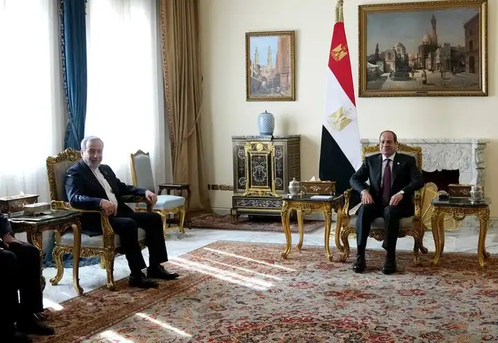 الرئيس المصري عبد الفتاح السيسي ووزير الخارجية الإيراني عباس عراقجي