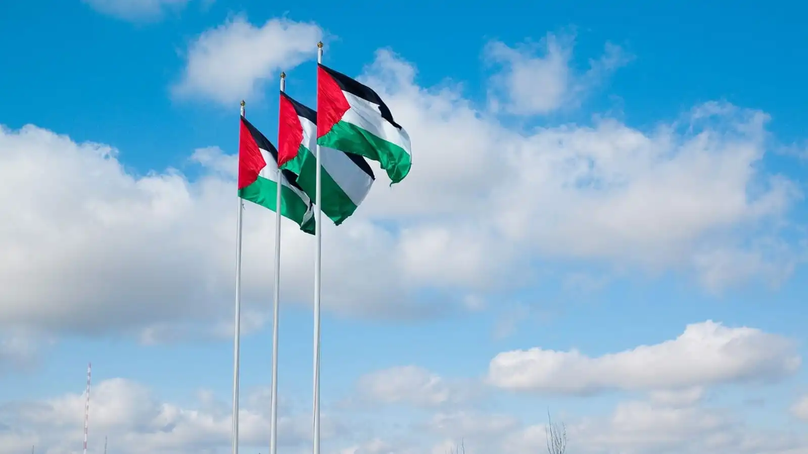 فلسطين