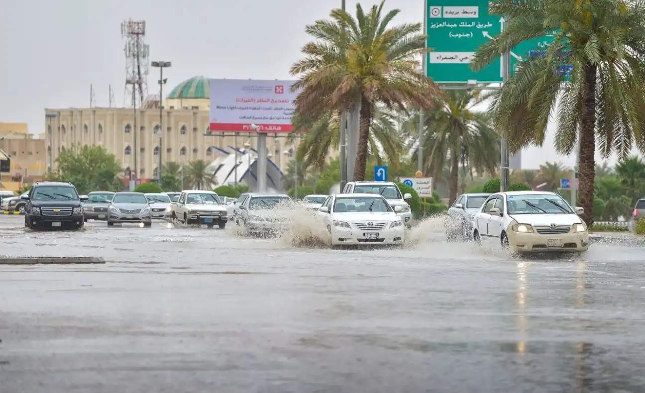 أمطار المملكة