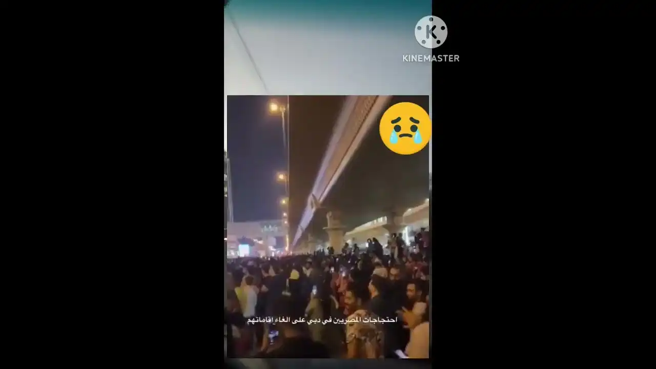 احتجاجات المصريين في الإمارات