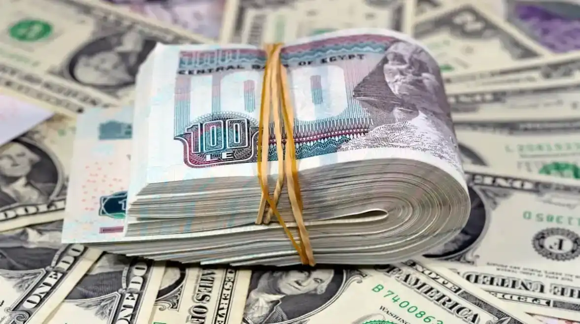 سعر الدولار في مصر اليوم